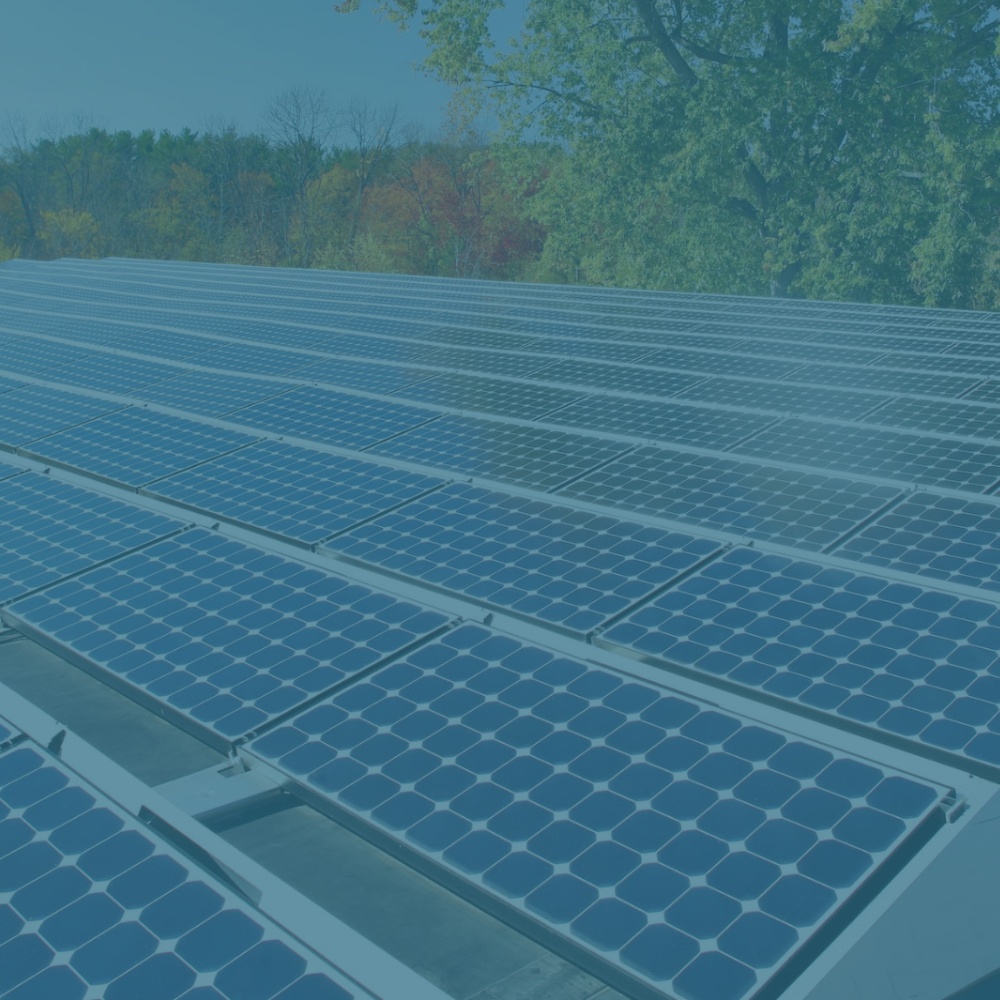 GLOBAL HABITAT SOLUTION